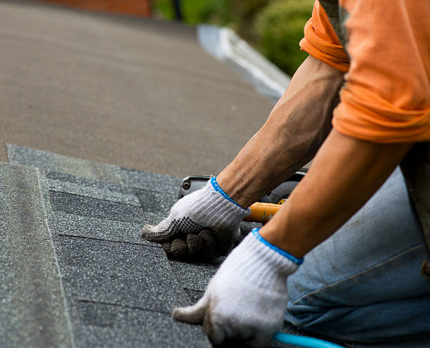 Best Roof Gutter Cleaning  in Millers Falls, MA